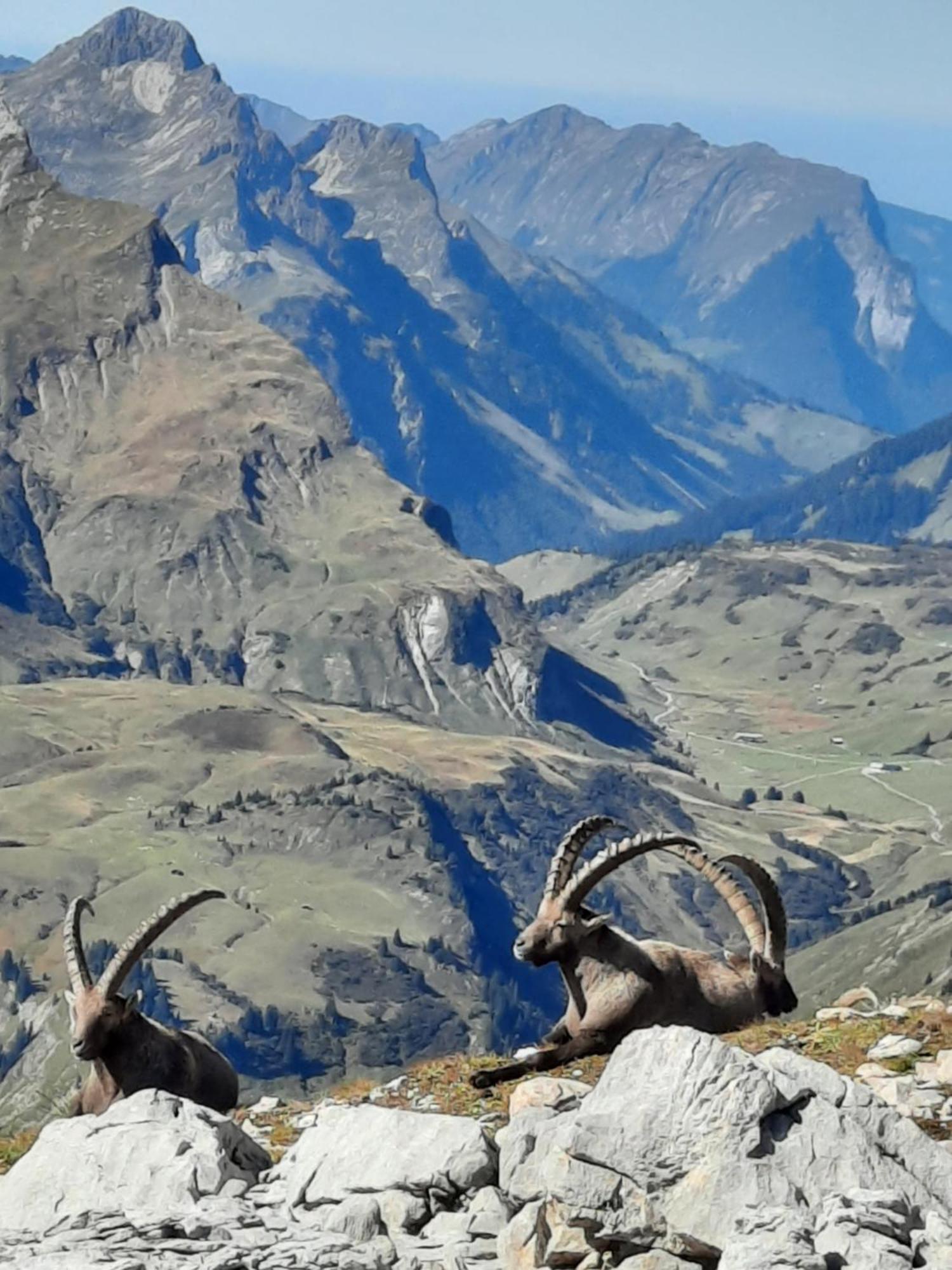 Haus Schroefler * Lech am Arlberg